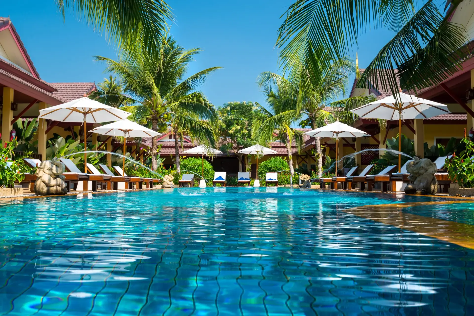 Resort swimming pool lined with palm trees and poolside umbrellas